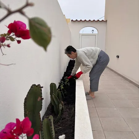 Casa 26