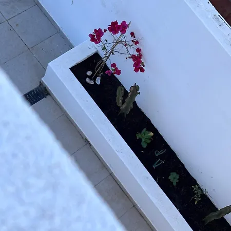 Prázdninový dům Casa 26 Olhão